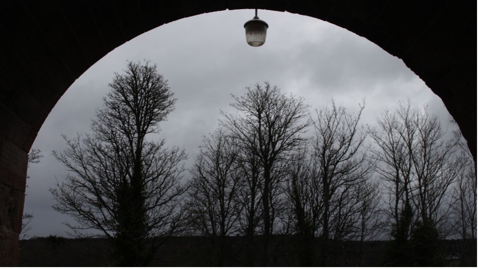 Black and white photo of a silhouette  of trees taken through an arch